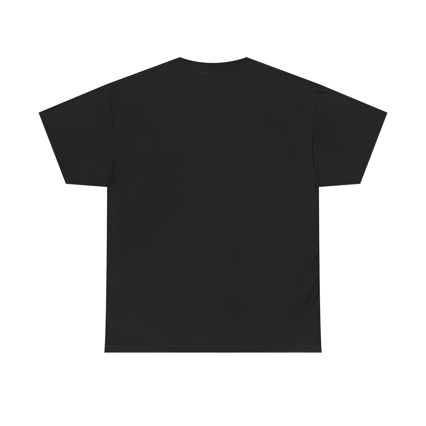 Big Brother Live Feeder Tshirt - Can't Talk, Watching Feeds