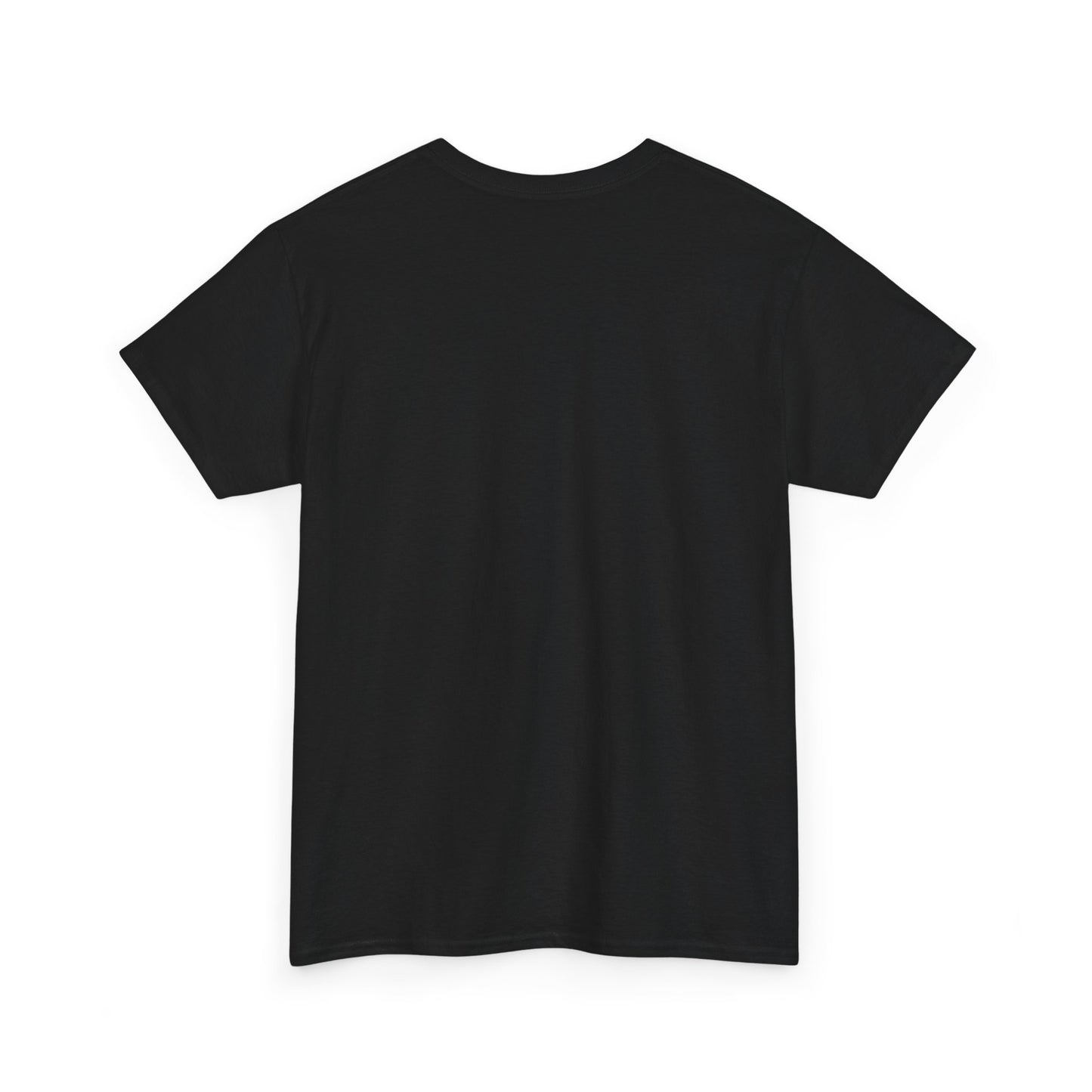 Big Brother Live Feeder Tshirt - Can't Talk, Watching Feeds