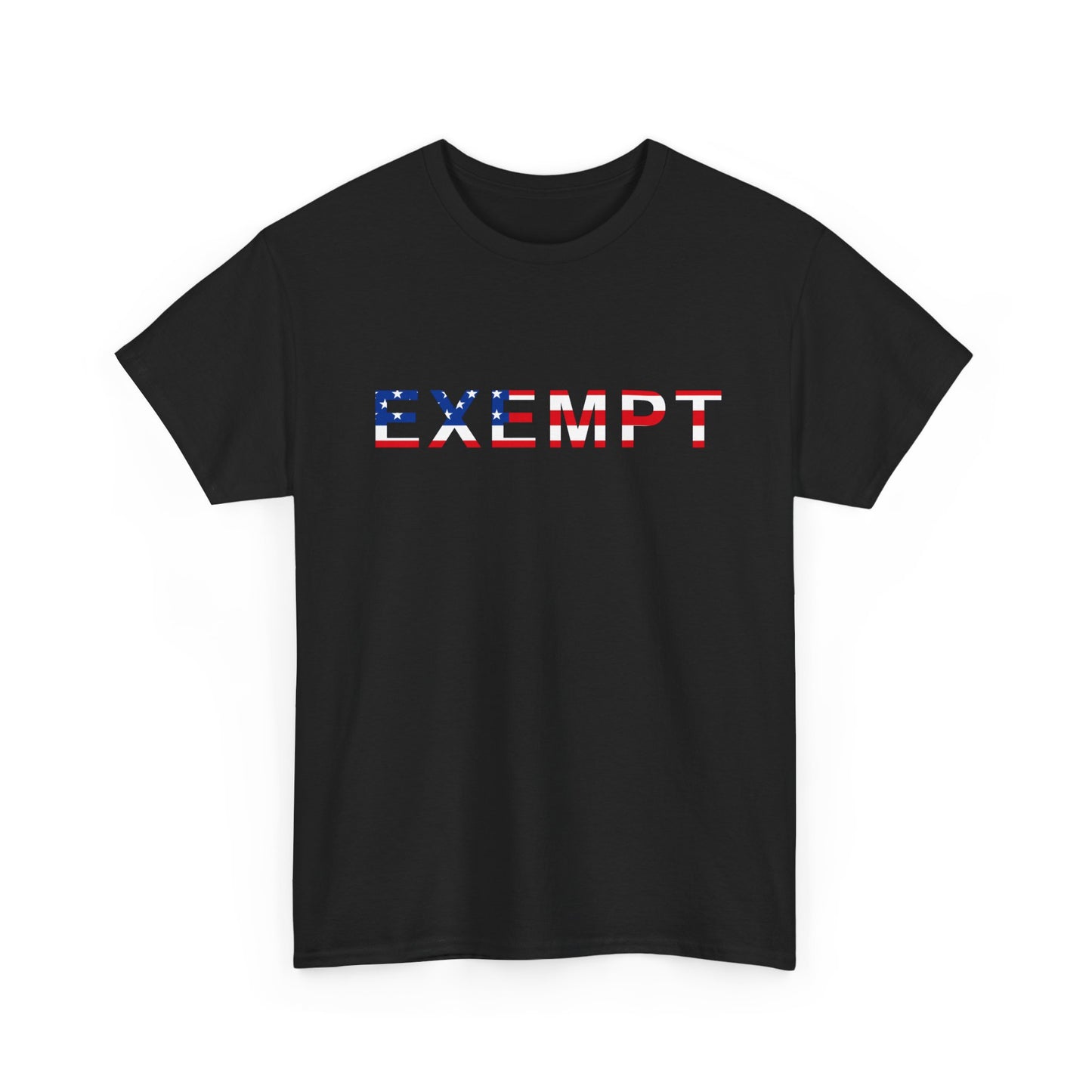 EXEMPT American Flag Graphic | T-Shirt