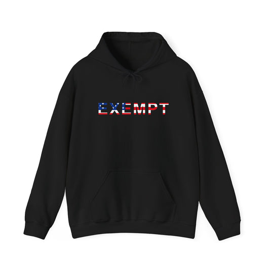 EXEMPT American Flag Graphic | Hoodie