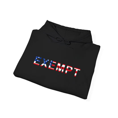 EXEMPT AMERICAN FLAG Graphic | Hoodie