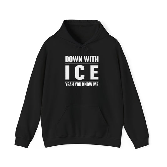 DOWN WITH I C E YEAH YOU KNOW ME Graphic | Hoodie