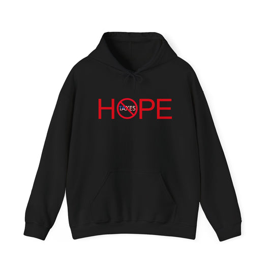HOPE 'TAXES PROHIBITED' American Flag Graphic | Hoodie