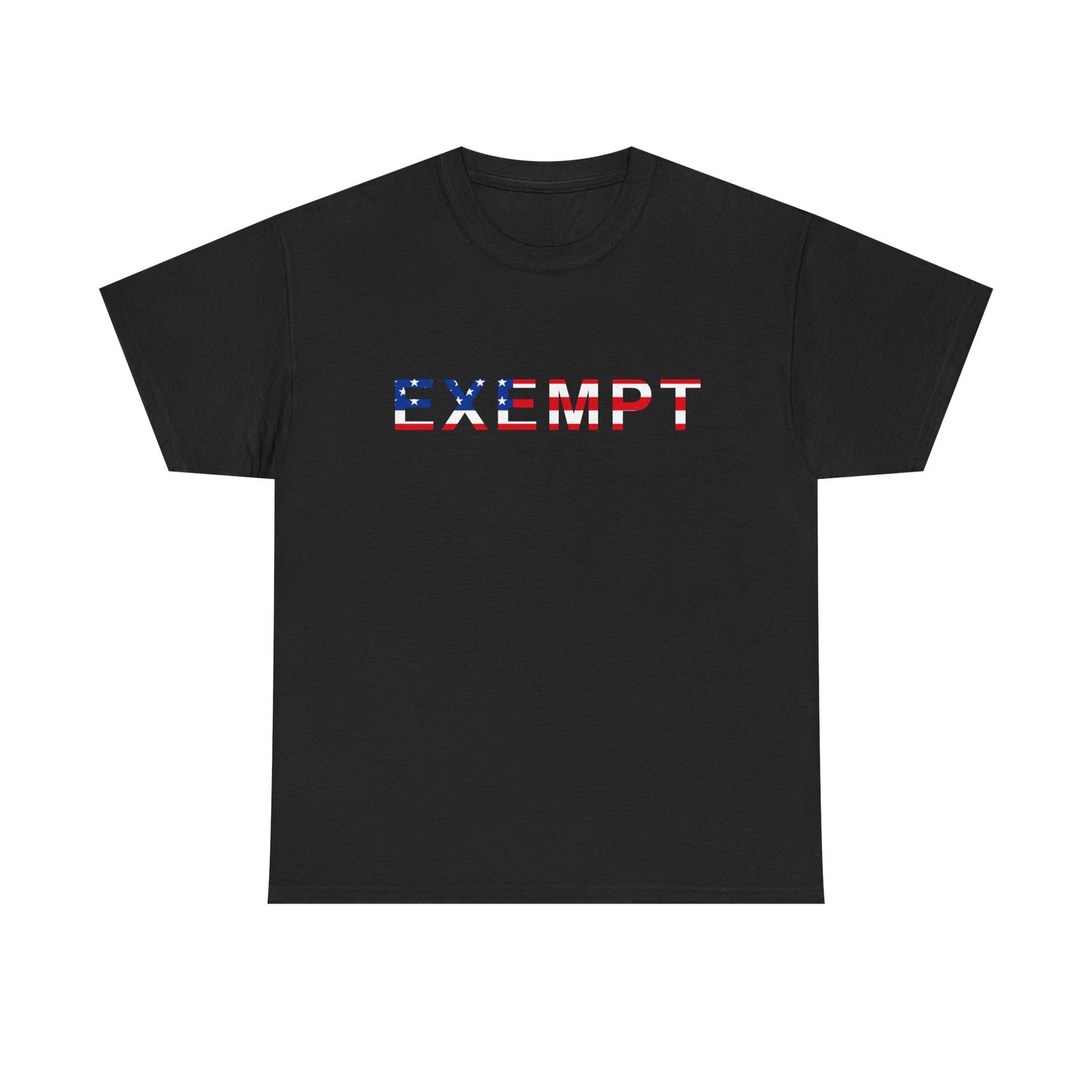 EXEMPT American Flag Graphic | T-Shirt