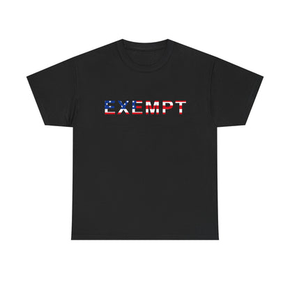 EXEMPT American Flag Graphic | T-Shirt