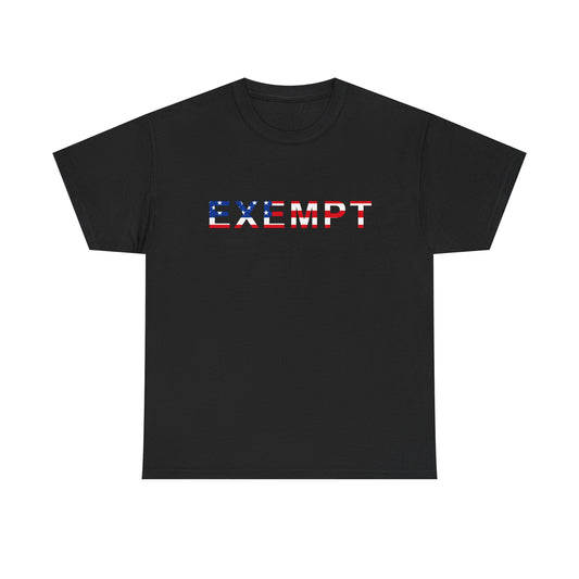 EXEMPT American Flag Graphic | T-Shirt